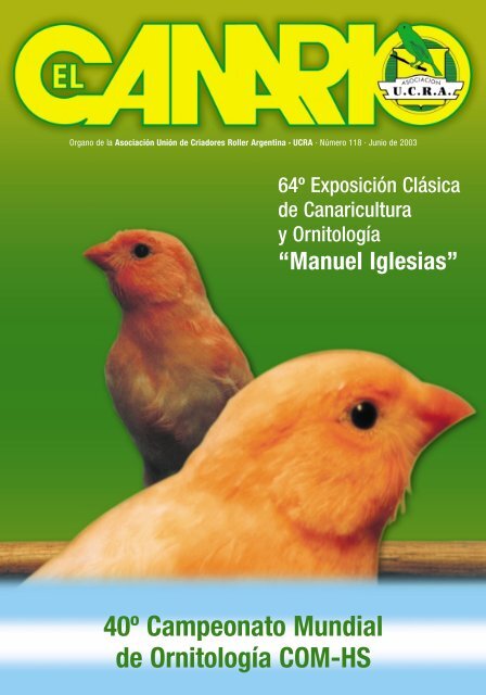 canarios - Aves Magacin