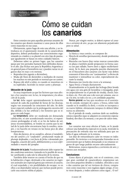 canarios - Aves Magacin