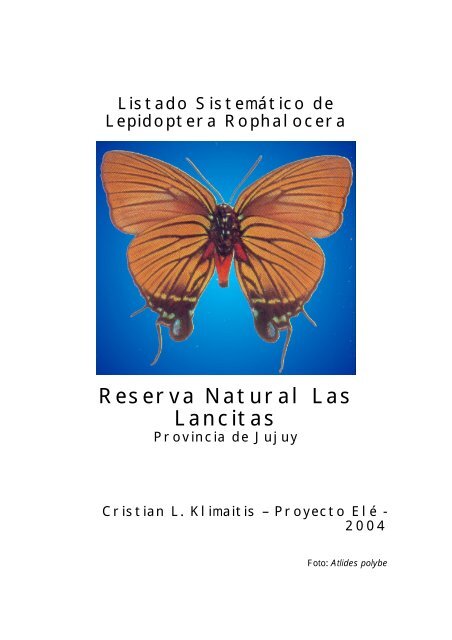 Mariposas Reserva Natural Las Lancitas