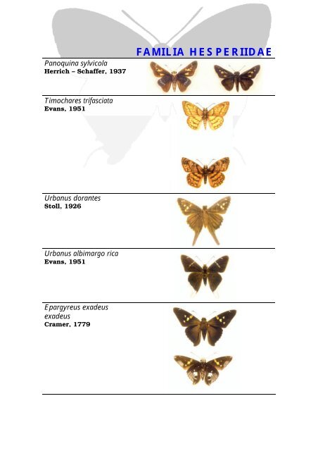 Mariposas Reserva Natural Las Lancitas