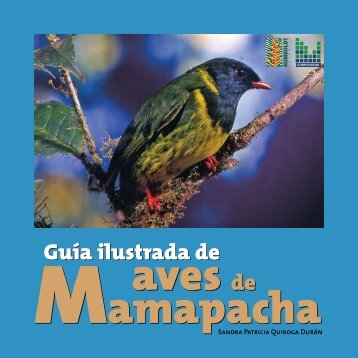Guía ilustrada de aves de amapacha - Instituto de Investigación de ...