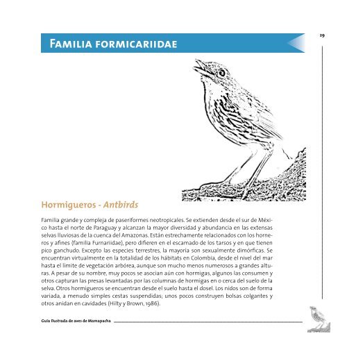 Guía ilustrada de aves de amapacha - Instituto de Investigación de ...