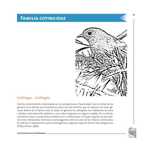 Guía ilustrada de aves de amapacha - Instituto de Investigación de ...