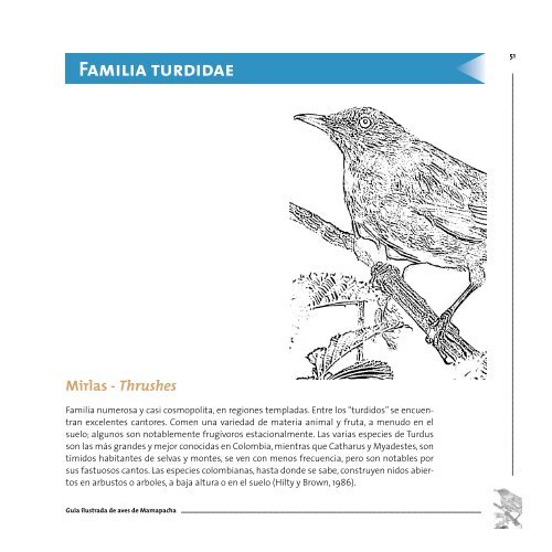 Guía ilustrada de aves de amapacha - Instituto de Investigación de ...