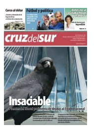 Fútbol y política - Diario Cruz del Sur