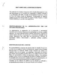 dictamen del auditor externo - Corte de Cuentas de la República