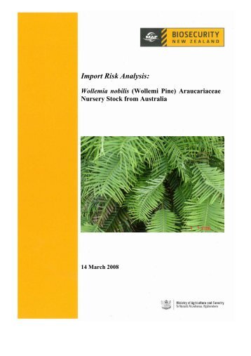 Wollemia nobilis (Wollemi Pine) - Biosecurity New Zealand