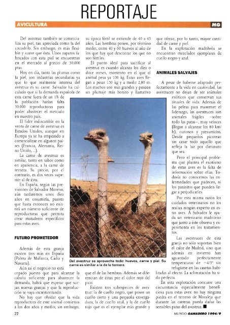 Revista MG Mundo Ganadero - Ministerio de Agricultura ...