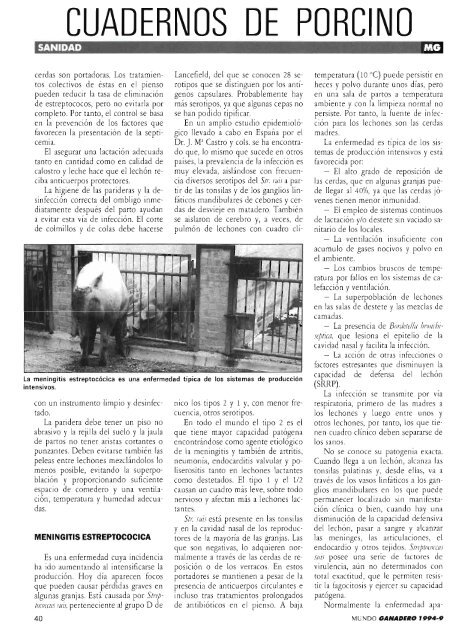 Revista MG Mundo Ganadero - Ministerio de Agricultura ...