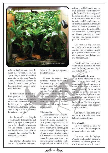 Número XIII - Mayo 2012 - Jangala Magazine