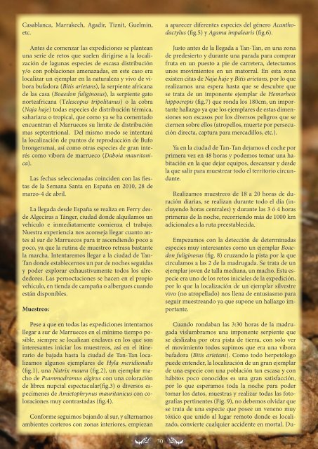 Número XIII - Mayo 2012 - Jangala Magazine