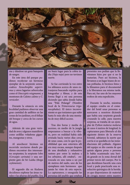 Número XIII - Mayo 2012 - Jangala Magazine