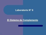 Laboratorio No. 6