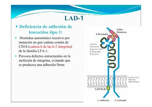 Inmunodeficiencias