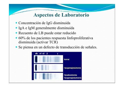 Inmunodeficiencias