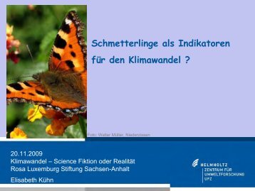 Schmetterlinge als Indikatoren für den Klimawandel Elisabeth Kühn ...