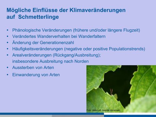 Schmetterlinge als Indikatoren für den Klimawandel Elisabeth Kühn ...