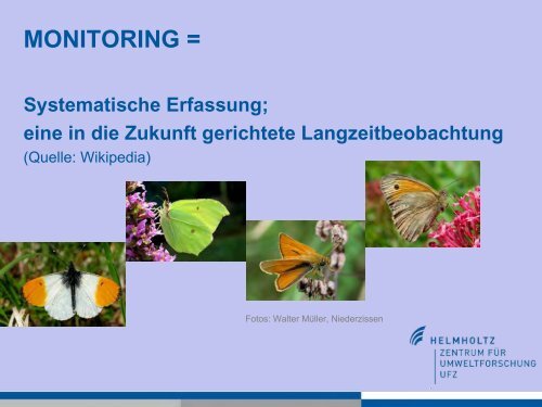 Schmetterlinge als Indikatoren für den Klimawandel Elisabeth Kühn ...