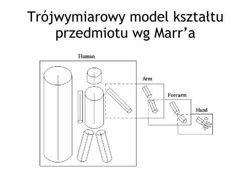 Percepcja: widzenie