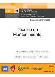 Técnico en Mantenimiento - Cecyte