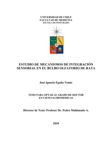 José Ignacio Egaña Tomic - Tesis Electrónicas Universidad de Chile