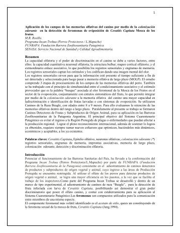 Colonización odorante Ceratitis Capitata - VET Comunicación ...