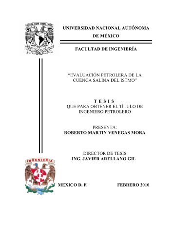 Tesis Completa.pdf - UNAM