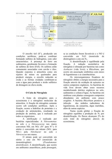 O Ciclo da Água evaporada e pode retornar - UFTM