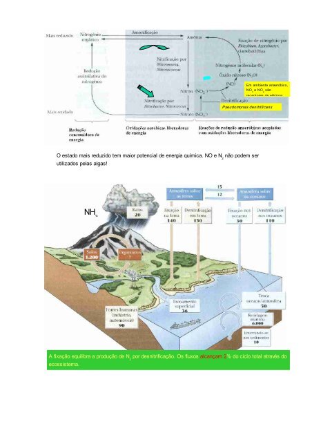 O Ciclo da Água evaporada e pode retornar - UFTM