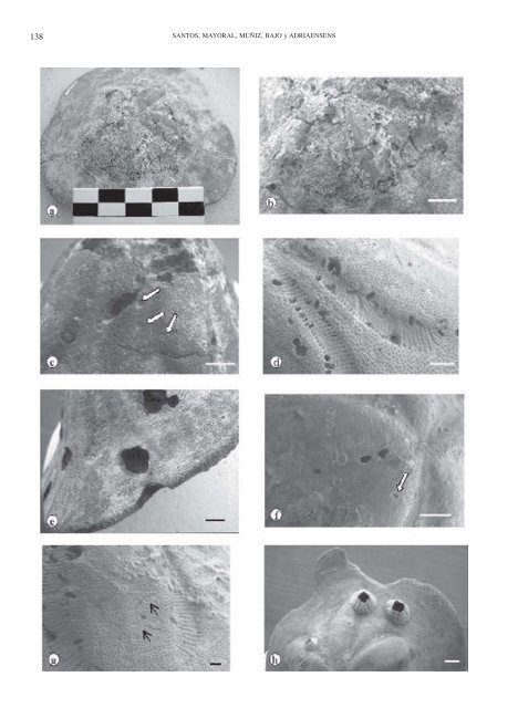 01. Santos et al.pdf - Sociedad Española de Paleontología