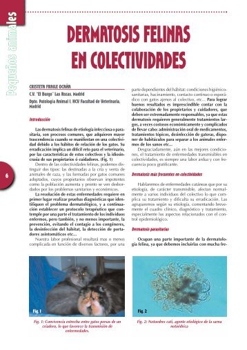 Dermatosis felinas en colectividades - Colegio de Veterinarios de ...