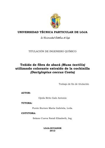 OJEDA BRITO GALO ANTONIO.pdf - Universidad Técnica Particular ...