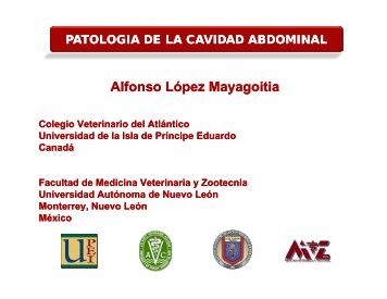 patologia de la cavidad abdominal