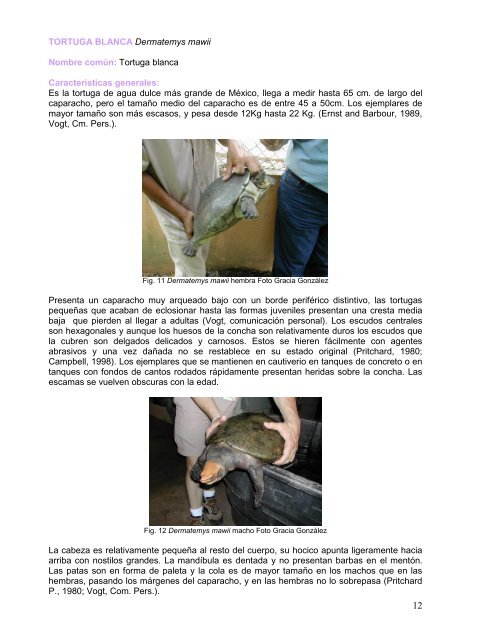 MANEJO Y CRIANZA DE TORTUGAS EN CAUTIVERIO ... - Semarnat