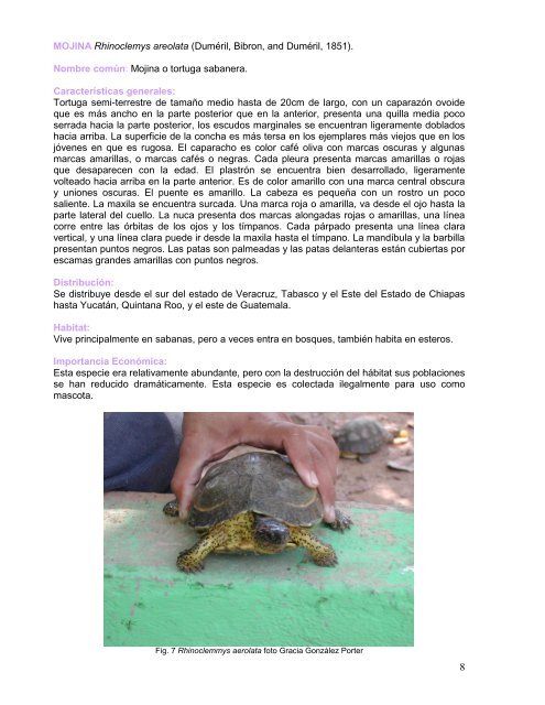 MANEJO Y CRIANZA DE TORTUGAS EN CAUTIVERIO ... - Semarnat