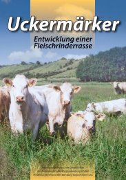 zum Download hier klicken - Rinderzucht Mecklenburg Vorpommern