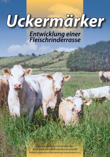 zum Download hier klicken - Rinderzucht Mecklenburg Vorpommern