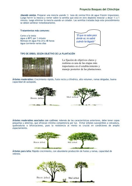 Diagnostico Forestal Participativo Bosques Chinchipe - Soluciones ...