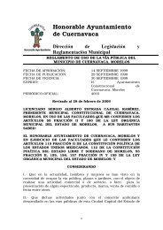 Reglamento de Uso de la Vía Pública del Municipio de Cuernavaca ...