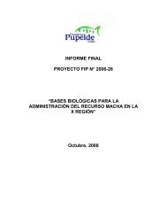 Bajar Informe Final (texto completo) en formato pdf - Fondo de ...