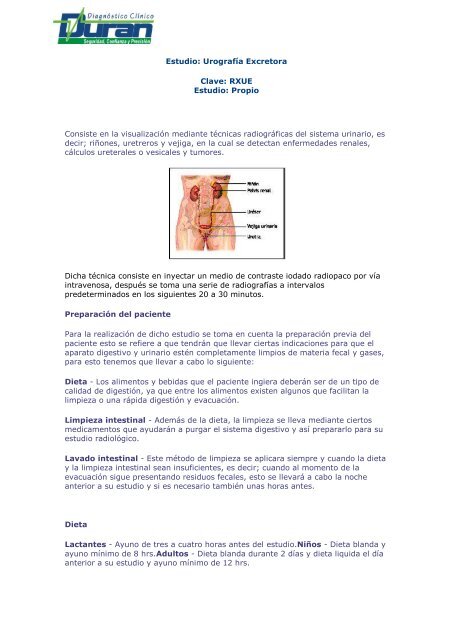 En que consiste una dieta blanda para adultos
