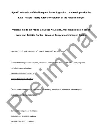 Syn-rift volcanism of the Neuquén Basin, Argentina ... - Sernageomin