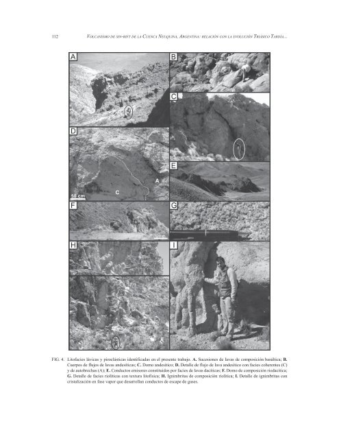 Redalyc.Volcanismo de sin-rift de la Cuenca Neuquina, Argentina ...