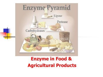 Enzyme in Food & Agricultural Products