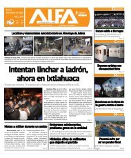 Intentan linchar a ladrón, ahora en Ixtlahuaca Tuvieron ... - Alfa diario