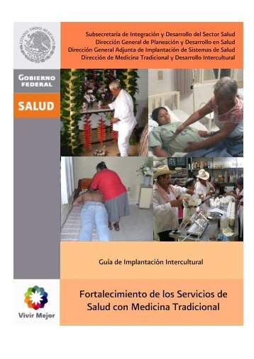 Modelo Fortalecimiento con MT con Port - Dirección General de ...
