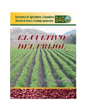 El Cultivo del Frijol - IICA