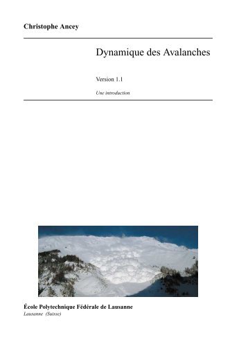 Dynamique des Avalanches - Toraval