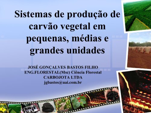 A Produção de Carvão Vegetal - Sindicarv