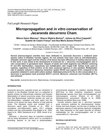 Micropropagation and in vitro conservation of Jacaranda decurrens ...